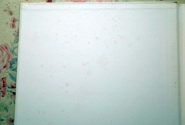 Amazon.co.jp: 41607/リチャードアヴェドン 写真集 Nothing